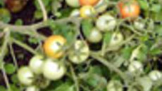033-39.jpg