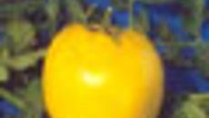 033-38.jpg