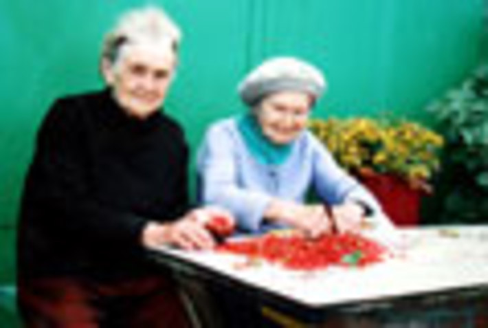 033-34.jpg