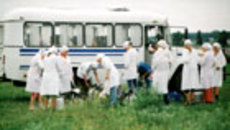 033-02.jpg