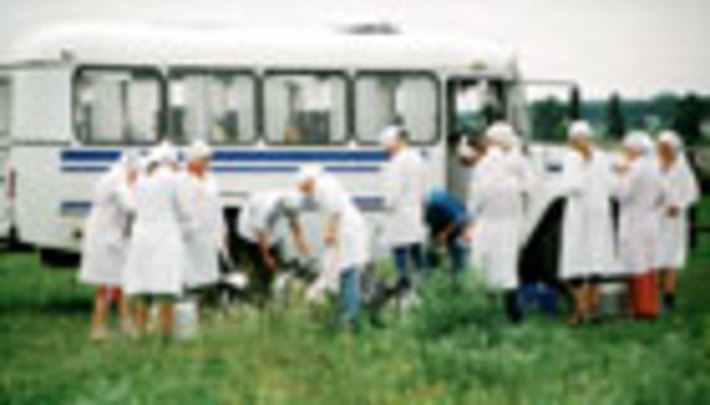033-02.jpg