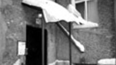 036-15.jpg
