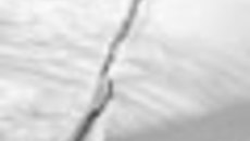 042-61.jpg
