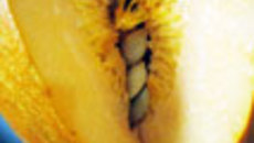 042-56.jpg