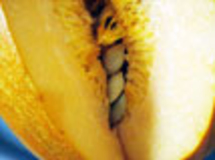 042-56.jpg