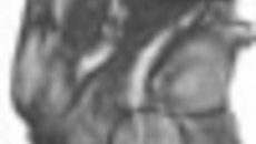 042-39.jpg