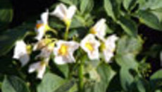 046-49.jpg