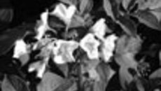 046-49.jpg