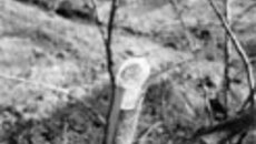 046-45.jpg