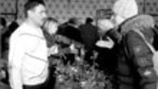 051-56.jpg