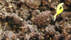 051-55.jpg