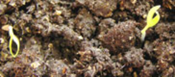051-55.jpg