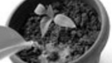 051-53.jpg