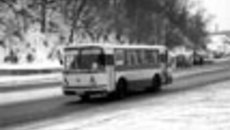 059-08.jpg