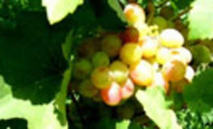 061-43.jpg