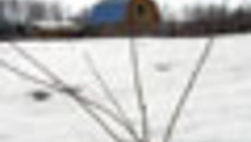061-41.jpg