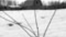 061-41.jpg