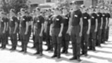 061-36.jpg