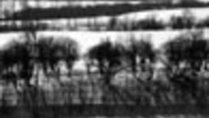 064-07.jpg