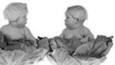 068-26.jpg
