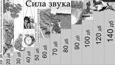 071-24.jpg