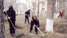 071-05.jpg