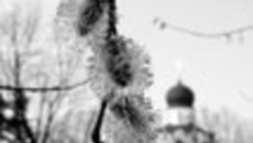 073-28.jpg