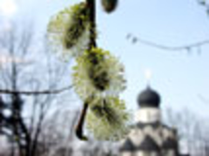 073-28.jpg