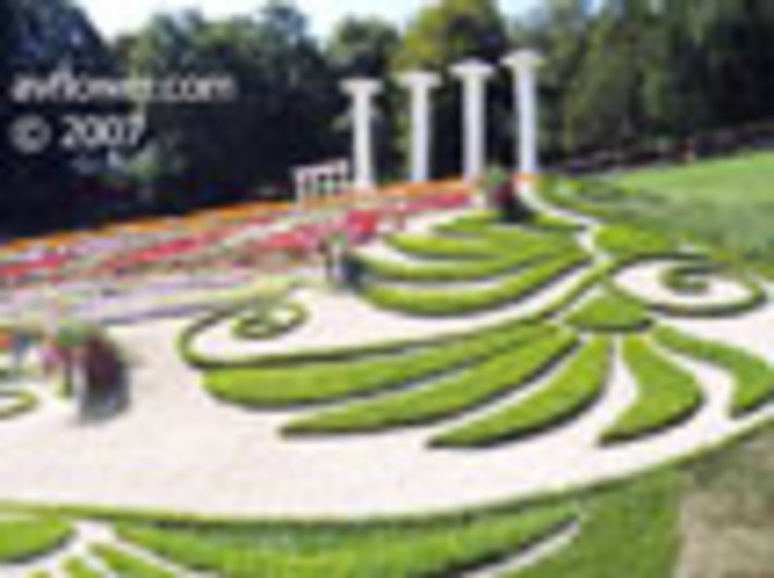 078-17.jpg