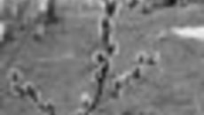 081-33.jpg
