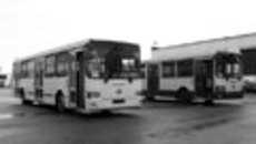 083-16.jpg