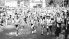 095-35.jpg