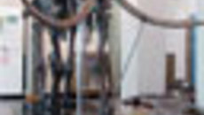095-20.jpg
