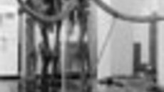 095-20.jpg