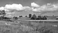 101-05.jpg