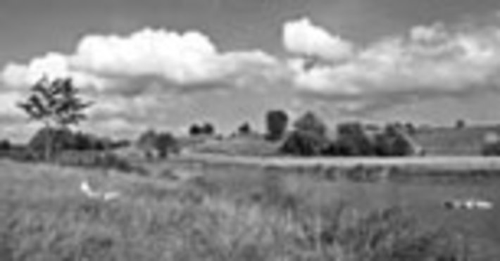101-05.jpg