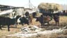 108-17.jpg