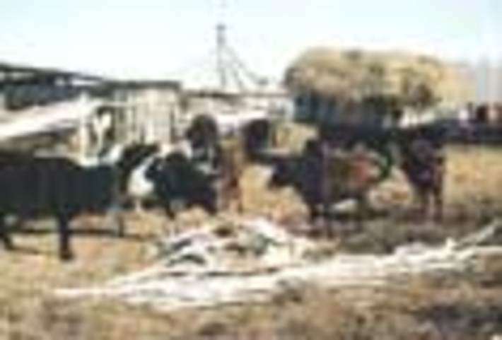 108-17.jpg