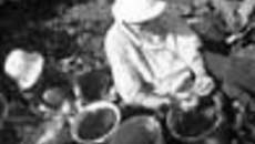 114-33.jpg