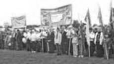 114-17.jpg