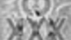 126-47.jpg