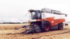 126-30.jpg