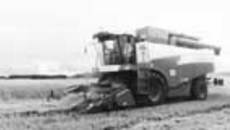 126-30.jpg