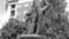 126-03.jpg