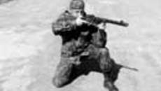 127-10.jpg