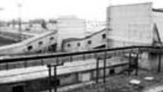 141-33.jpg