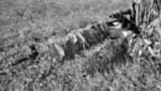 147-39.jpg