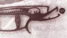 147-22.jpg