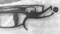 147-22.jpg