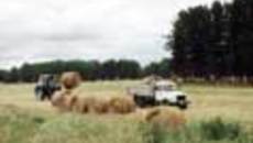 152-02.jpg